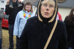 Karnevalszug 2012