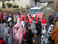IMG_0564_Copy