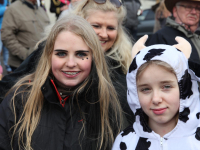 IMG_0737_Copy