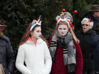 IMG_0822_Copy