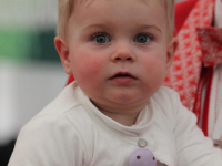 IMG_0228_Copy