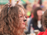 IMG_0253_Copy