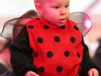 IMG_0285_Copy