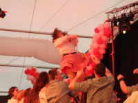 IMG_0293_Copy