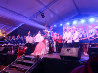 IMG_8341_Copy