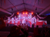 IMG_8454_Copy