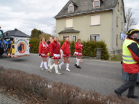 Karneval_2017_SitzungKinderHerschbach_485_Copy