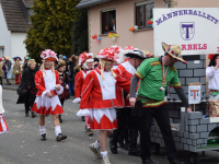 Karneval_2017_SitzungKinderHerschbach_551_Copy